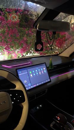 جيتور داشينج